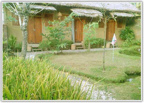 Baleku Homestay Trawangan กีลีตราวางัน ภายนอก รูปภาพ